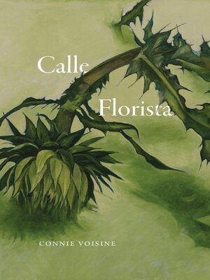 cover image of Calle Florista